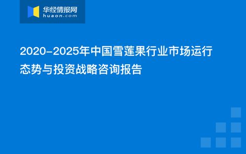 中国雪莲果行业市场运行态势与投资战略咨询报告